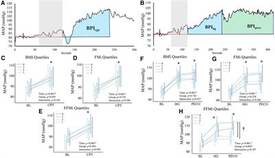 Fat-free mass is associated with exercise pressor responses, but not cold pressor responses, in humans: influence of maximal voluntary contraction